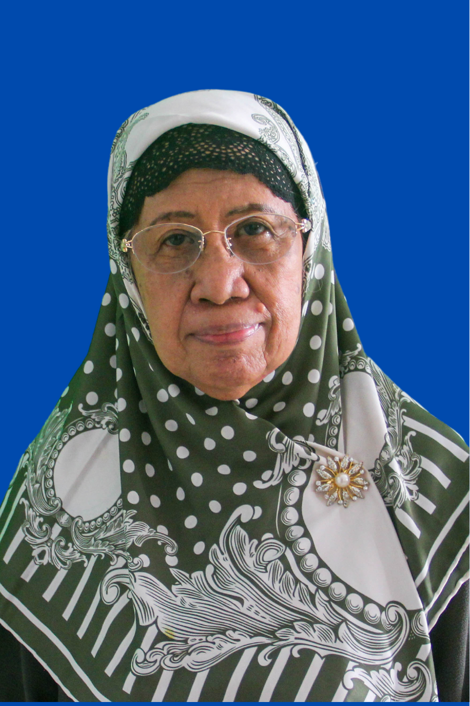 Prof. Dr. Effionora Anwar, M.S.