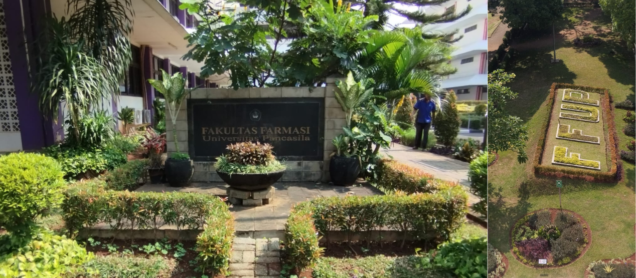 Taman dan Ruang Hijau FFUP, Dukung UIGreen Metric