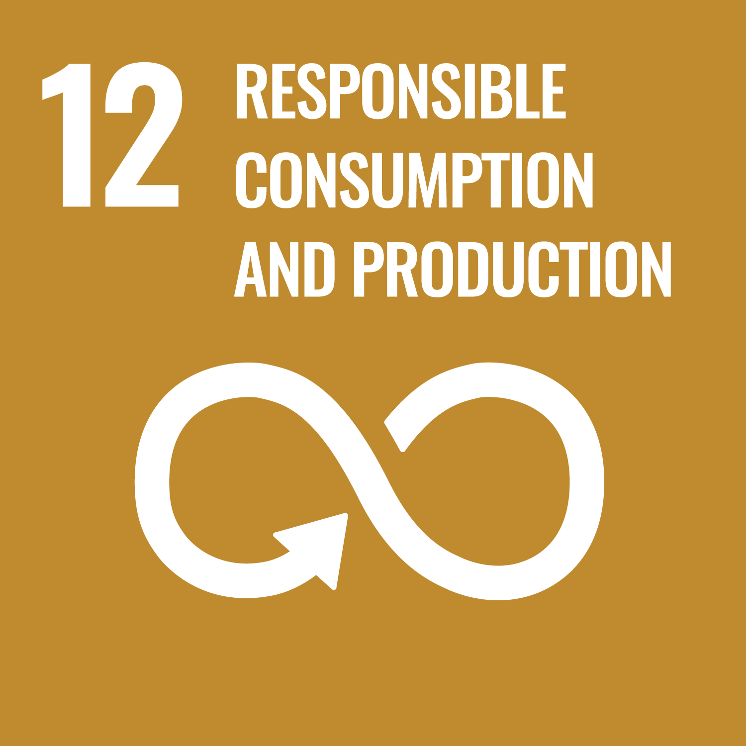 SDGs-12 Responsible concumption and production