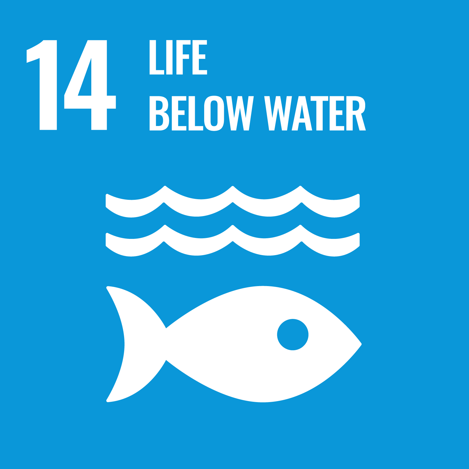 SDGs-14 Life bellow water