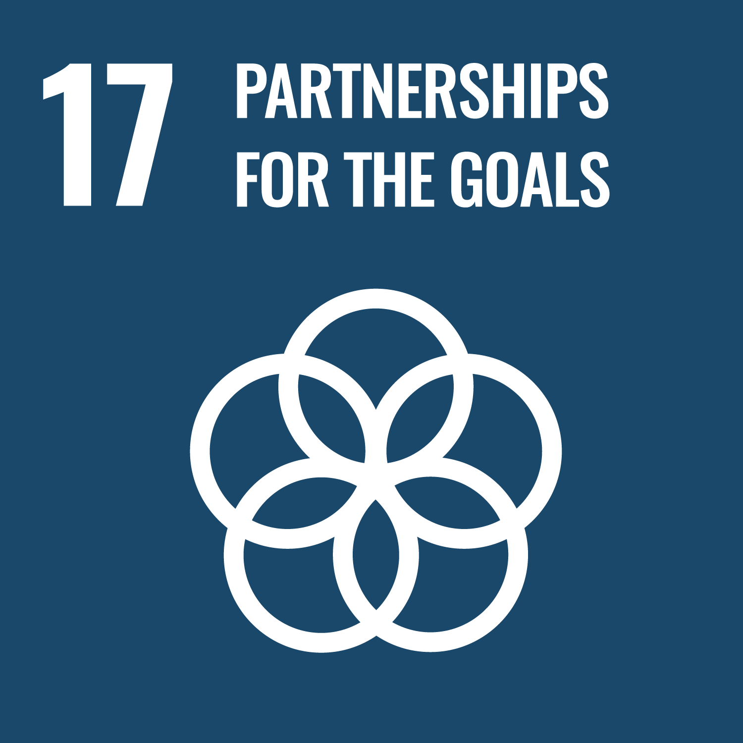 SDGs-17 Partnership for the goals